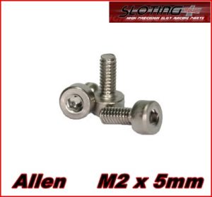 20 CARGOLS INOX. ALLEN M2 x 5