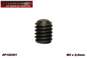 20 Espárragos Allen M2 x 2,5mm.