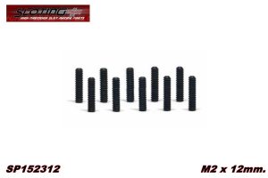 20 ESPÁRRAGOS ALLEN M2 x 12mm.